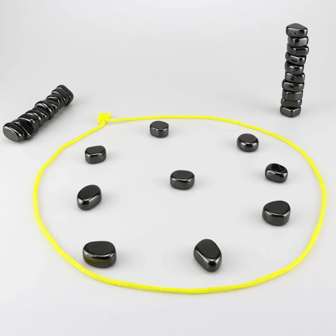 Magnet Schach Familien Spiel