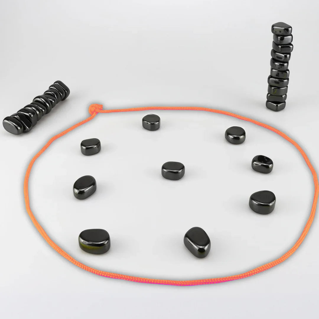 Magnet Schach Familien Spiel