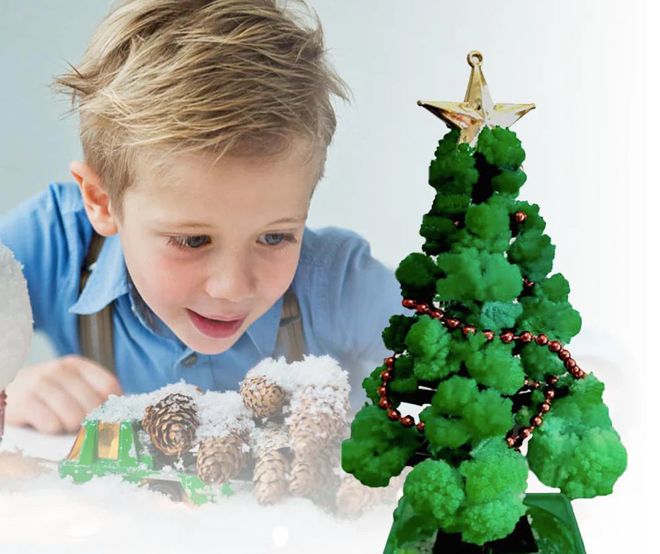 Magische Weihnachten – DIY Weihnachtsbaum-Anzuchtset (1+1 GRATIS)