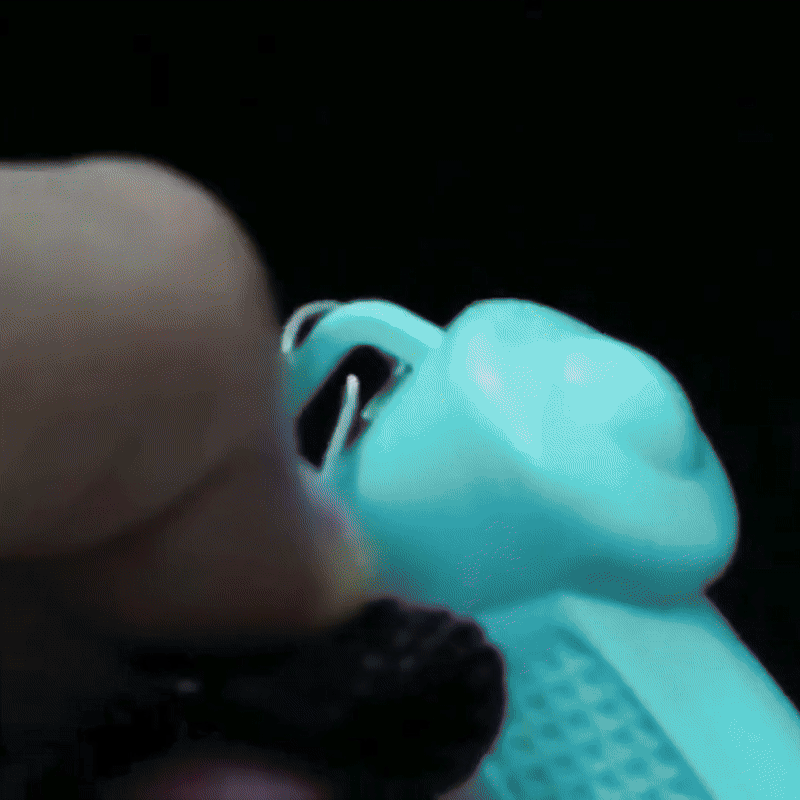 Sinnes-Spielspaß – Interaktives Lernspielzeug für Babys