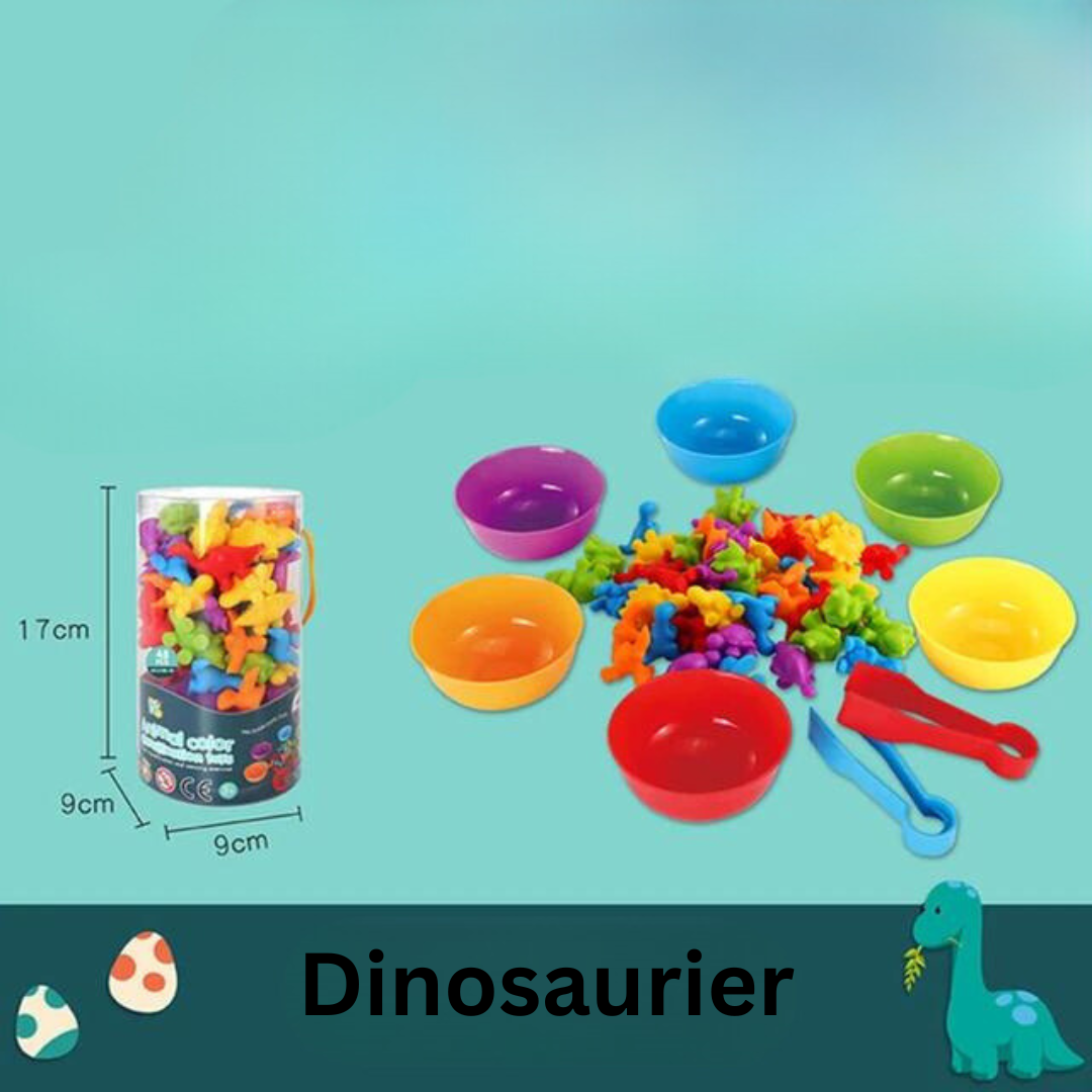 Montessori Buntes Sortierspiel