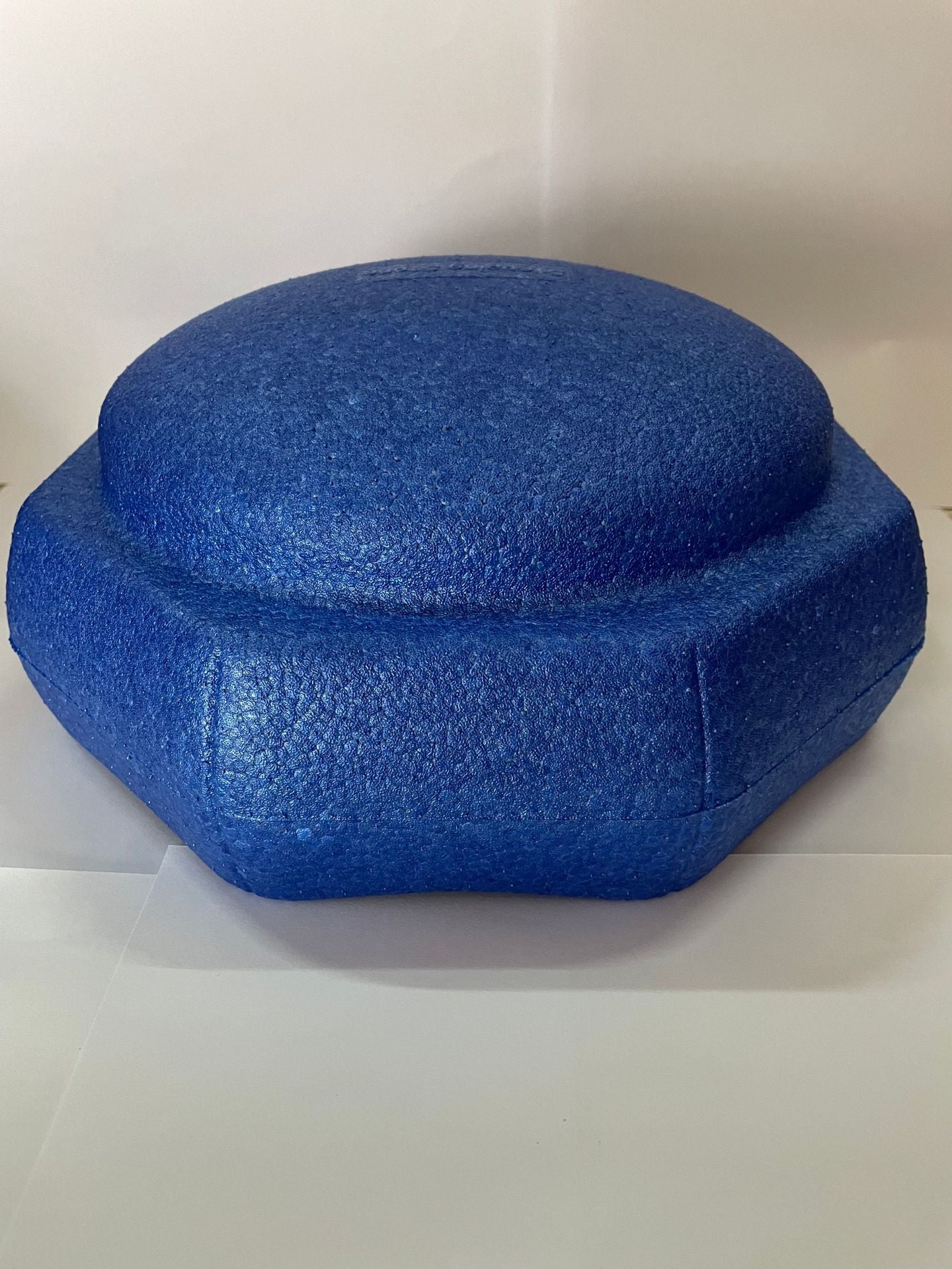 Sensorische Gleichgewichtssteine